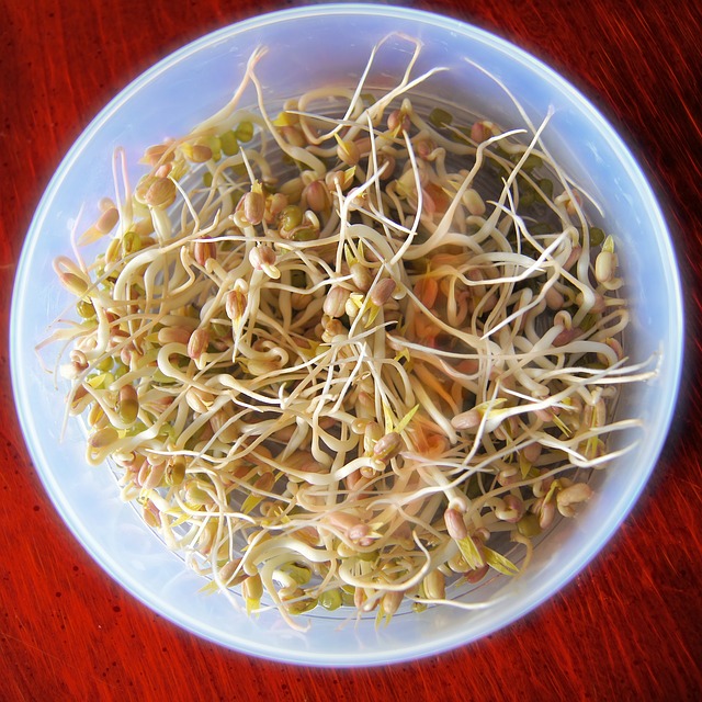 biomiska